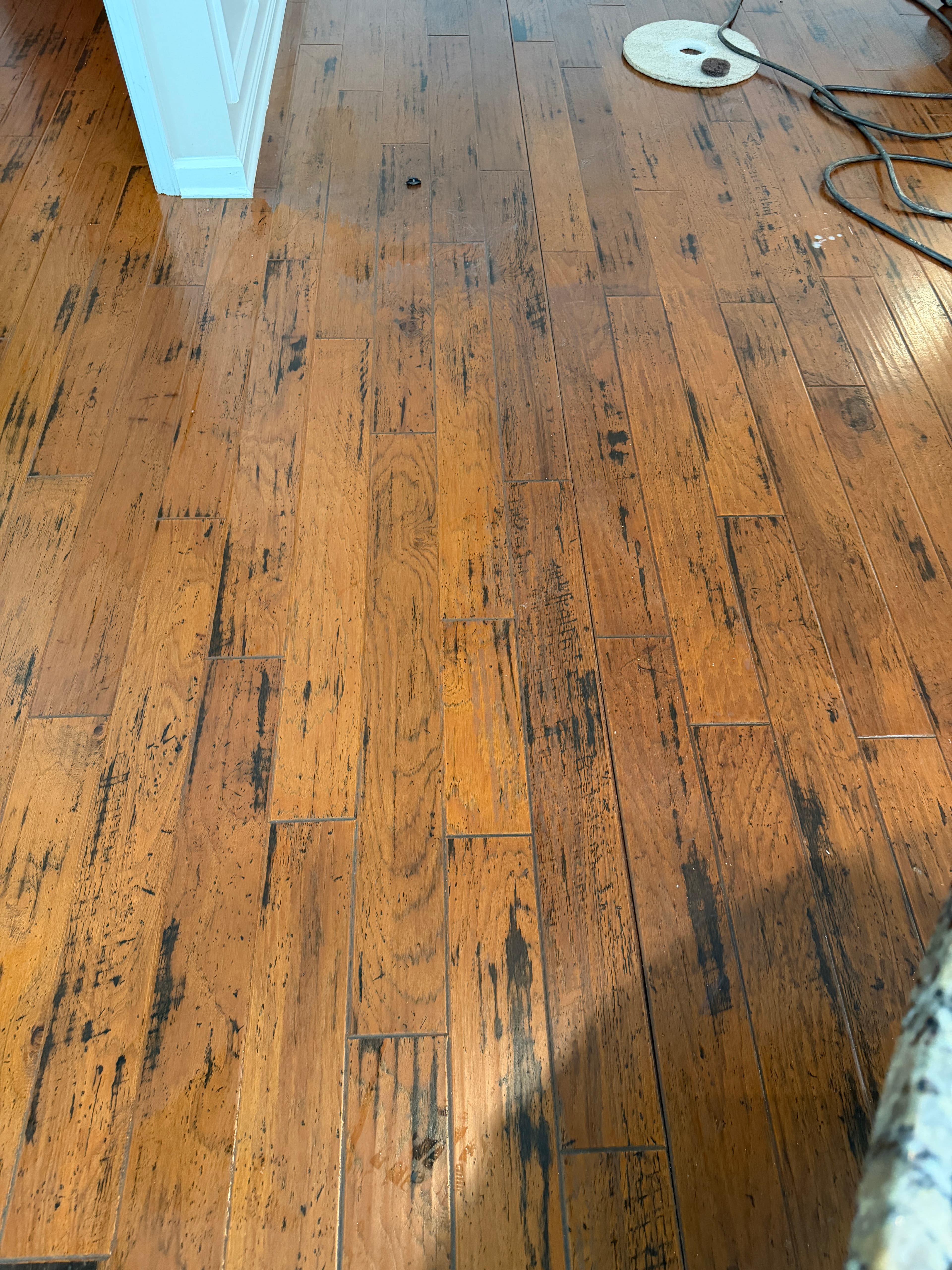 Scratches and embedded dirt visible in consumer polish buildup on hickory hardwood floor before deep clean and polish removal service in NC