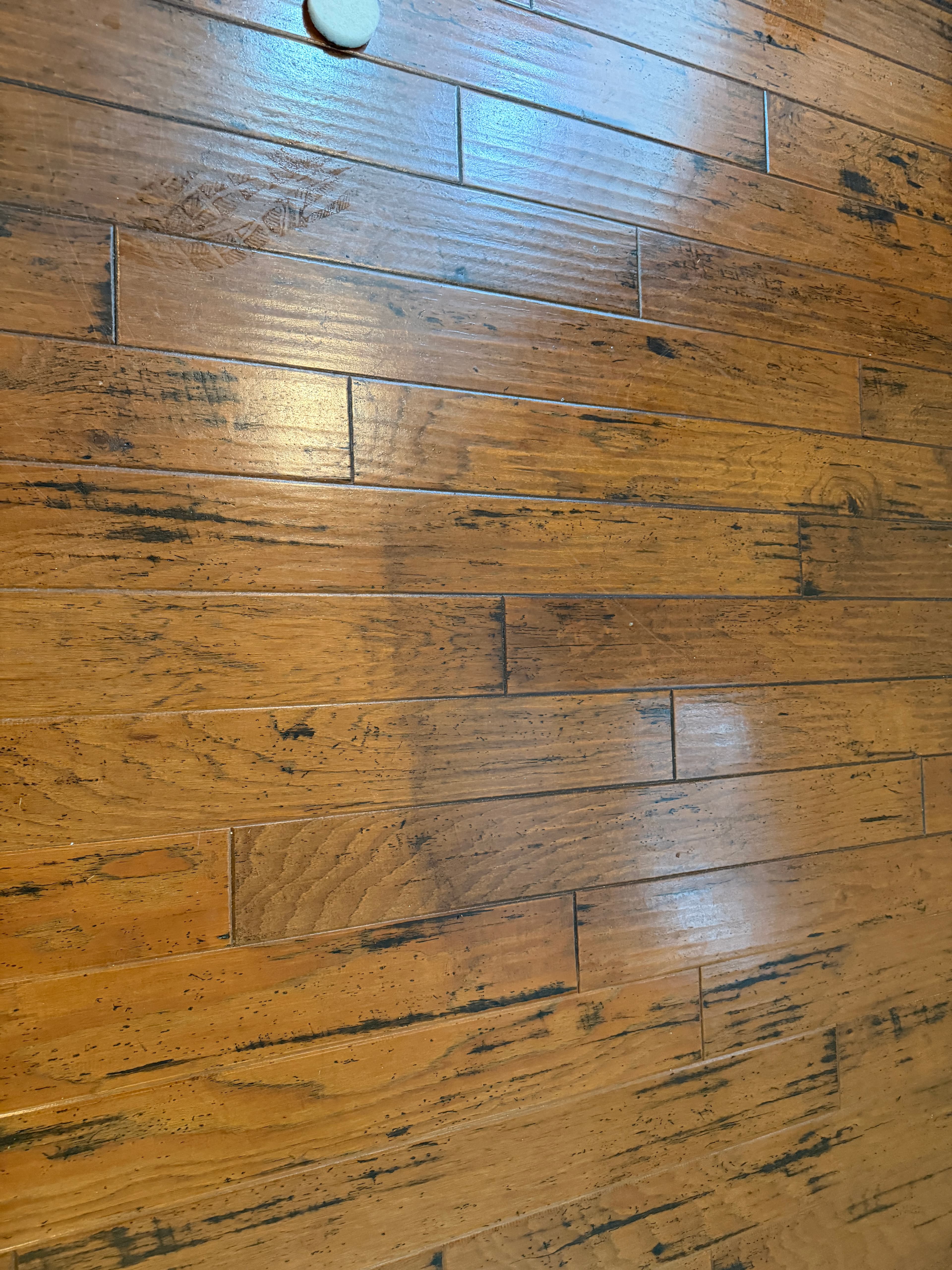 Grime embedded in beveled grooves of hickory hardwood floor with consumer polish buildup before professional cleaning in NC