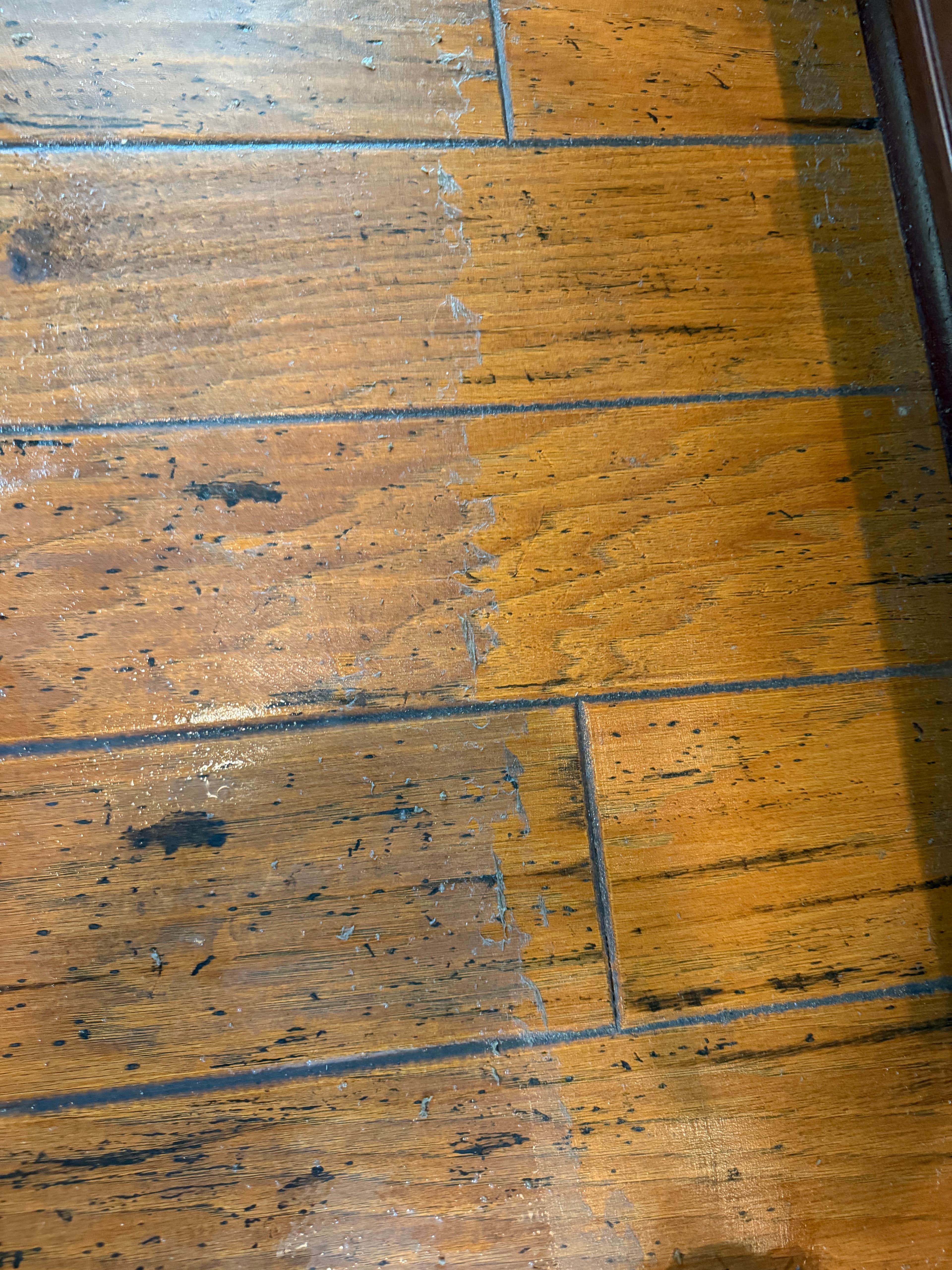 Severe consumer polish and grime buildup along baseboard edge of hickory hardwood floor before professional deep cleaning in NC