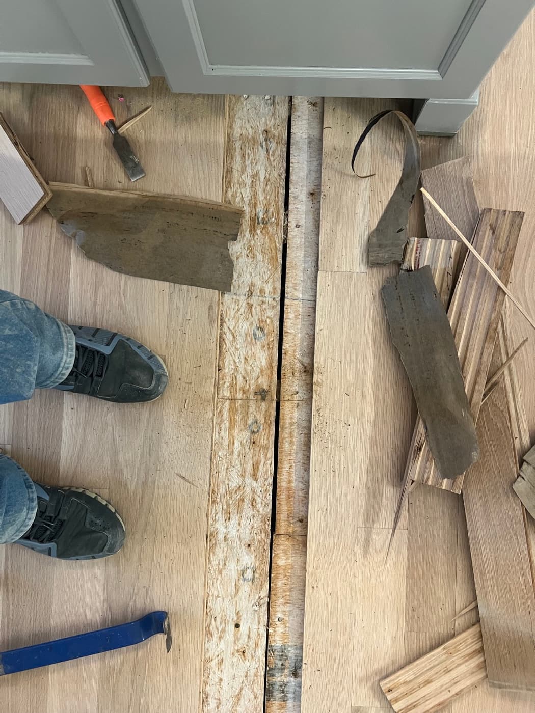 Water damaged white oak boards removed with subfloor exposed during rescue refinishing in Hayes Barton Raleigh NC
